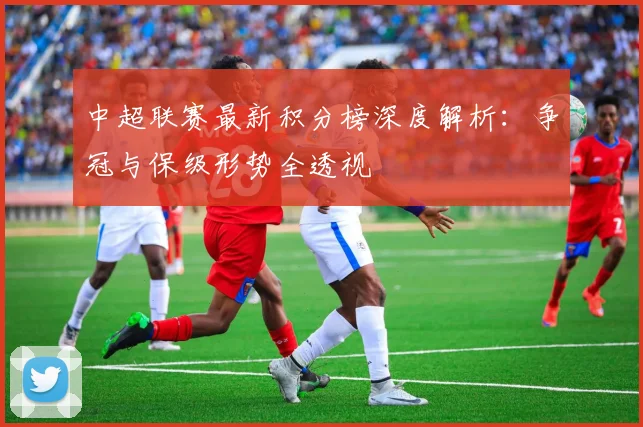 中超联赛最新积分榜深度解析:争冠与保级形势全透视