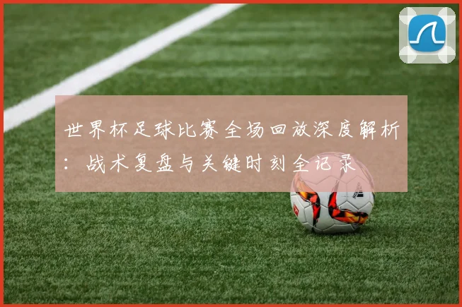 世界杯足球比赛全场回放深度解析：战术复盘与关键时刻全记录